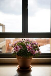 Rekuperacja a szczelnosc okien – jak zapewnic prawidlowy obieg powietrza