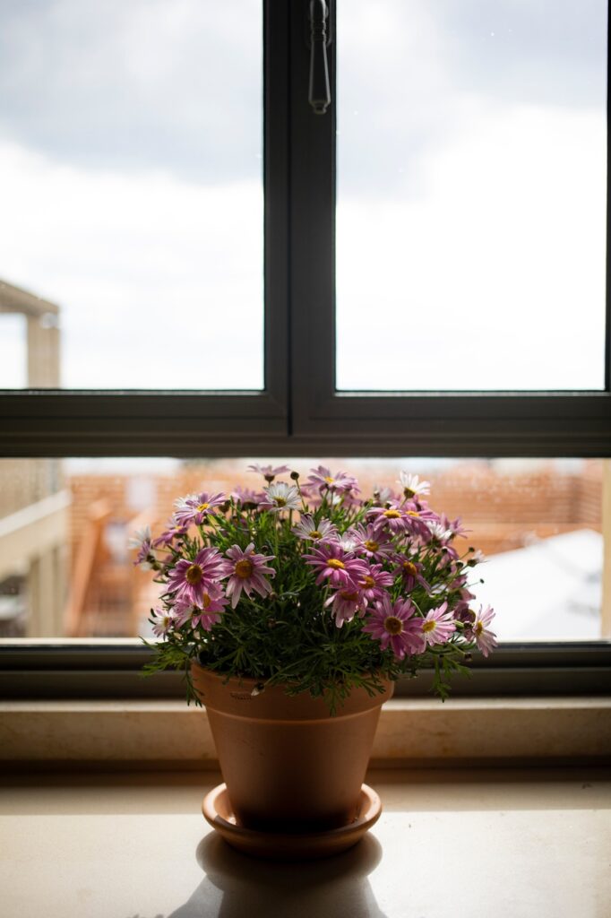 Rekuperacja a szczelność okien – jak zapewnić prawidłowy obieg powietrza? 1 Rekuperacja a szczelnosc okien – jak zapewnic prawidlowy obieg powietrza