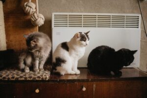 Jak chronic klimatyzator przed dziecmi i zwierzetami